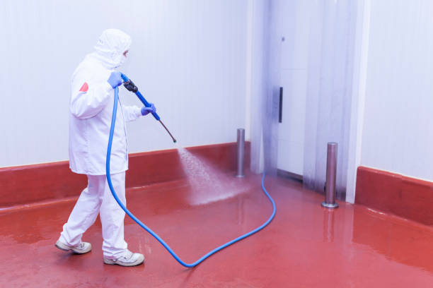 Best Factory Floor Cleaning  in Little Cypress, TX